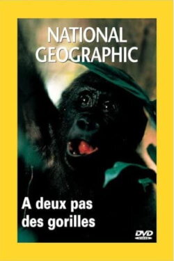 Living With Gorillas (2000) Living With Gorillas (2000)