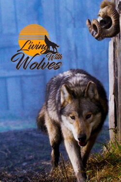 Living With Wolves (2016)