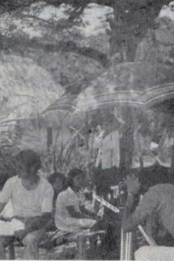 Llano y Contaminación (1973) Llano y Contaminación (1973)