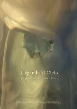 Llegando al cielo (2010)