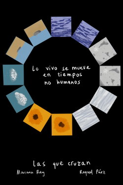 Lo vivo se mueve en tiempos no humanos (2021) Lo vivo se mueve en tiempos no humanos (2021)