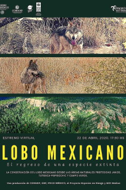 Lobo Mexicano (2020) Lobo Mexicano (2020)
