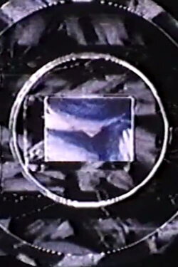 Local Knowledge (1992)