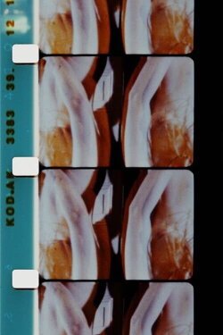 Log Abstract 1986 (1986)