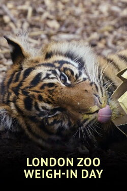 London Zoo Weigh-In Day (2023)