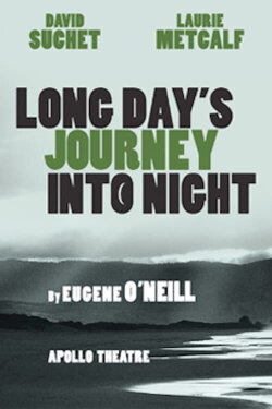 Long Day's Journey Into Night (2014) Long Day's Journey Into Night (2014)