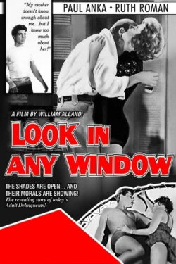 Look in Any Window (1961)