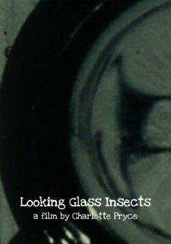 Looking Glass Insects (2013) Looking Glass Insects (2013)