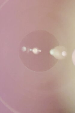 Looking Inside (2024) Looking Inside (2024)