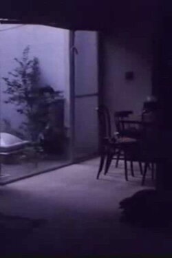 Looking Obliquely (1983)