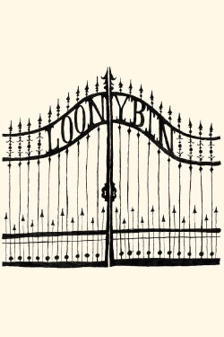 Loony Bin (2013)