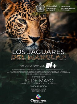 Los Jaguares del Manglar (2023) Los Jaguares del Manglar (2023)