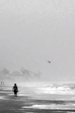 Los meses (2015)