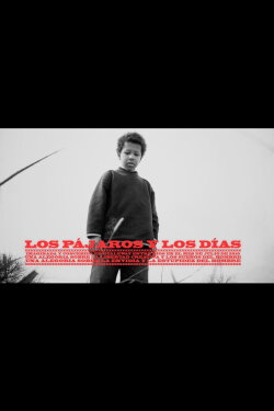 Los pájaros y los días (2019) Los pájaros y los días (2019)