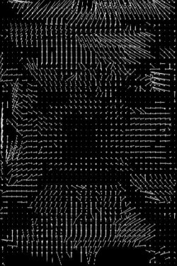 Lossless #4 (2008) Lossless #4 (2008)
