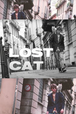 Lost Cat (2019)