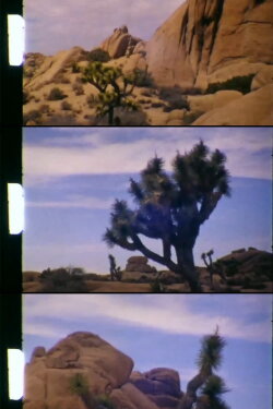 Lost Horse Valley (2020)