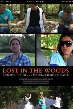 Lost in the Woods (2017) Lost in the Woods (2017)