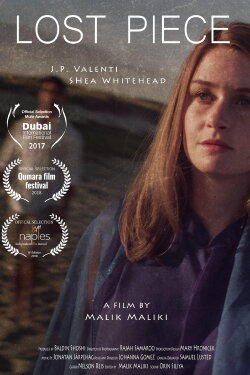 Lost Piece (2017)