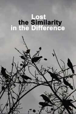 Lost the Similarity in the Difference (2020) Lost the Similarity in the Difference (2020)