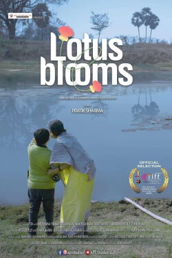 Lotus Blooms (2023) Lotus Blooms (2023)