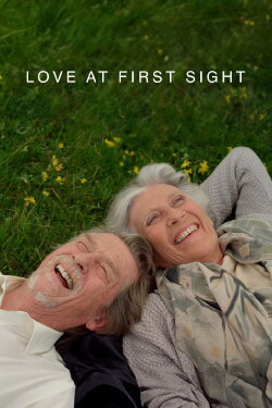 Love at First Sight (2010) Love at First Sight (2010)