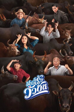 Love Battle vs Bullfighting (2022) Love Battle vs Bullfighting (2022)