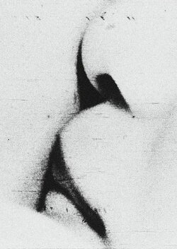 Love (1962)