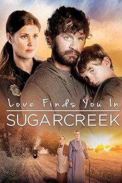 Love Finds You In Sugarcreek (2014) Love Finds You In Sugarcreek (2014)