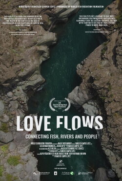 Love Flows (2019) Love Flows (2019)