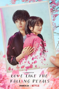 Love Like the Falling Petals (2022) Love Like the Falling Petals (2022)