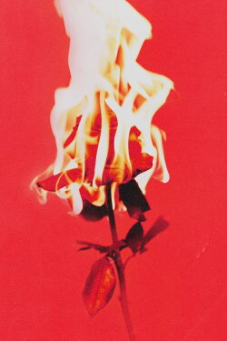Love or Loved Part.1 Official Live Clip (2022) Love or Loved Part.1 Official Live Clip (2022)