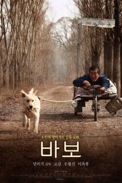Love without Words (2017)