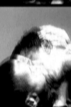 Lovers (2004)