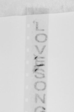 L.O.V.E.S.O.N.G. (2020)
