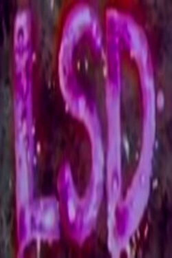 LSD (1967) LSD (1967)