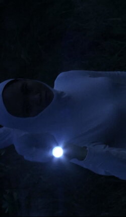 Lublae (2013) Lublae (2013)