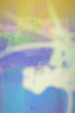 Luciano Pea: Video Portrait (2021)