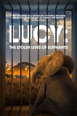 Lucy: The Stolen Lives of Elephants (2025) Lucy: The Stolen Lives of Elephants (2025)