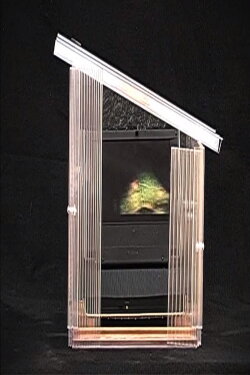 Luminous Greenhouse (2011)