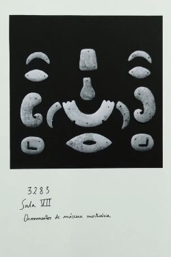 Luminous Shadow (2018)
