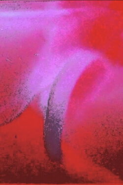 Lungenflügel (2009)