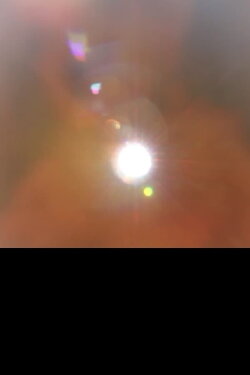 Lux Luz (2021) Lux Luz (2021)