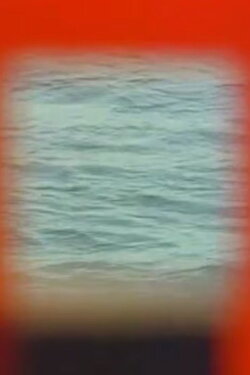 Lygiapape (1991)