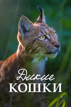 Lynx (2021) Lynx (2021)