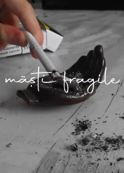 măști fragile (2024) măști fragile (2024)