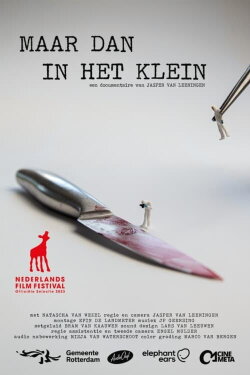 Maar dan in het klein (2023)
