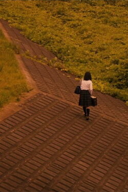 Maboroshi (2016) Maboroshi (2016)