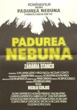 Mad Forest (1982)