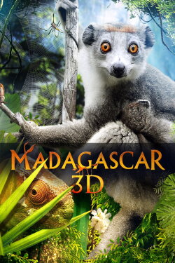 Madagascar 3D (2013) Madagascar 3D (2013)